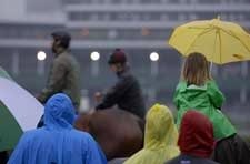 More Rain Expected in Louisville Friday, Saturday More Rain Expected in Louisville Friday, Saturday