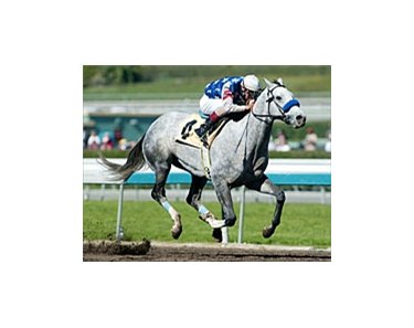 Louisiana Derby winner Wimbledon has been installed the morning line favorite for the Santa Anita Derby.