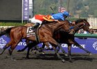 Longshot Vale of York Grabs Juvenile Longshot Vale of York Grabs Juvenile
