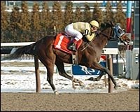 Lopez Bags 3,000th Career Win in Aqueduct Race Lopez Bags 3,000th Career Win in Aqueduct Race