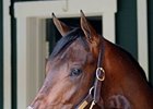 Willey: Super Saver Better Since the Derby Willey: Super Saver Better Since the Derby