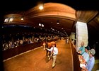Keeneland Select Sessions 'Surprisingly Good' Keeneland Select Sessions 'Surprisingly Good'