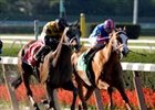 In Gazelle Surprise, Lear's Princess (left) hands Rags to Riches her first defeat since her debut.