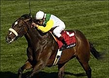 Grade I Winner Artie Schiller Retired to Hurricane Hall Grade I Winner Artie Schiller Retired to Hurricane Hall