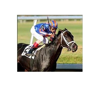 Bandini and John Velazquez win the Skip Away Handicap on April 1.