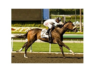 Tanda tries for her third consecutive victory in the Railbird.<br><a target="blank" href="http://www.bloodhorse.com/horse-racing/photo-store?ref=http%3A%2F%2Fpictopia.com%2Fperl%2Fgal%3Fprovider_id%3D368%26ptp_photo_id%3D8865133%26ref%3Dstory">Order This Photo</a>