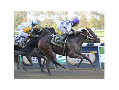 Undefeated Matchmadeinheaven goes for her 4th straight stakes victory in the Fifth Avenue division of the New York Stallion Series.