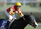 Sweetnorthernsaint favored in Sunshine Millions Classic despite outside post.