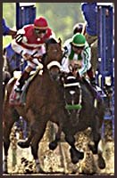 War Emblem Heading to California Sunday War Emblem Heading to California Sunday