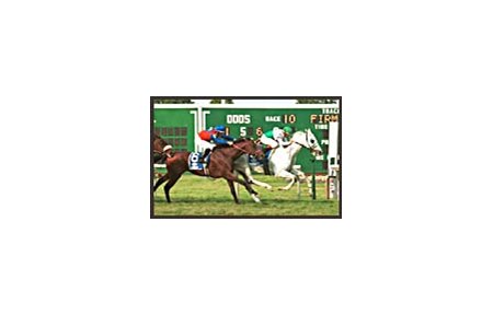 With Anticipation leads Denon to the finish line in the United Nations Handicap.