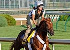Ice Box<br><a target="blank" href="http://www.bloodhorse.com/horse-racing/photo-store?ref=http%3A%2F%2Fpictopia.com%2Fperl%2Fgal%3Fprovider_id%3D368%26ptp_photo_id%3D8895768%26ref%3Dstory">Order This Photo</a>