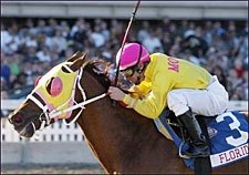 Shake You Down Gets His 'Reward' in Padua Stables Sprint Shake You Down Gets His 'Reward' in Padua Stables Sprint