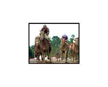 Whywhywhy, second from left, leads the field to the finish in the Sanford.