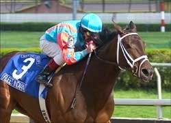 Distaff Preview: Indian Made Distaff Preview: Indian Made