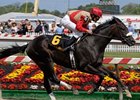 Chelokee<br><a target="blank" href="http://www.bloodhorse.com/horse-racing/photo-store?ref=http%3A%2F%2Fpictopia.com%2Fperl%2Fgal%3Fprovider_id%3D368%26ptp_photo_id%3D1229952%26ref%3Dstory">Order This Photo</a>