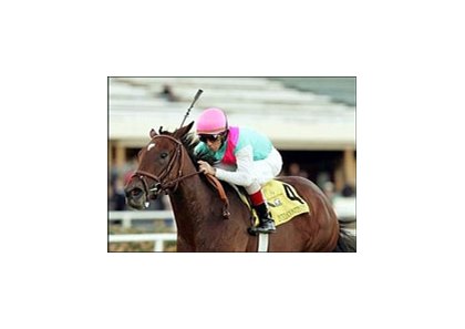 Intercontinental wins the Matriarch Stakes, Sunday at Hollywood Park.