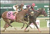 Tenacious New York Hero Wins Lane's End Tenacious New York Hero Wins Lane's End