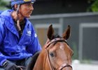 Mine That Bird is the early even money favorite for the Belmont Stakes.<br><a target="blank" href="http://www.bloodhorse.com/horse-racing/photo-store?ref=http%3A%2F%2Fpictopia.com%2Fperl%2Fgal%3Fprovider_id%3D368%26ptp_photo_id%3D8202770%26ref%3Dstory">Order This Photo</a>