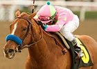 Always A Princess in the 2011 El Encino Stakes.
