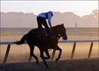 Belmont Park-Area Residents Have Say on Franchise Belmont Park-Area Residents Have Say on Franchise