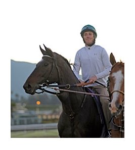 Royal Delta at Santa Anita on October 30.<br><a target="blank" href="http://photos.bloodhorse.com/BreedersCup/2012-Breeders-Cup/Works/26130247_gxH6nS#!i=2184986357&k=GmmJSsF">Order This Photo</a>