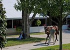 Keeneland: Book 6 Figures Tumble Keeneland: Book 6 Figures Tumble