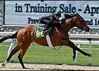 Keeneland Changes Format for Sale of 2-Year-Olds in Training Keeneland Changes Format for Sale of 2-Year-Olds in Training