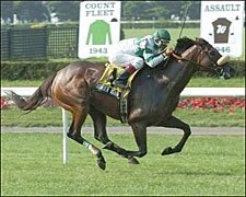Wonder Again Rolls to Victory in New York Handicap Wonder Again Rolls to Victory in New York Handicap