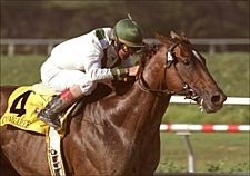 Hollywood Park race Report: Ready, Aim, Fire Hollywood Park race Report: Ready, Aim, Fire