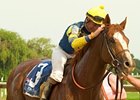 Gouldings Green been retired from racing for stud duty at Mohns Hill Farm.