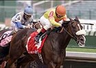 Two Trail Sioux Sneaks Home in Fleur de Lis Two Trail Sioux Sneaks Home in Fleur de Lis