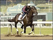 Rock Hard Ten Preps for Classic With Workout at Santa Anita Rock Hard Ten Preps for Classic With Workout at Santa Anita