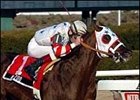 Kazoo Hums in Toboggan Handicap Triumph Kazoo Hums in Toboggan Handicap Triumph