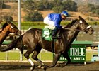 Gayego winning the 2009 Ancient Title Stakes<br><a target="blank" href="http://www.bloodhorse.com/horse-racing/photo-store?ref=http%3A%2F%2Fpictopia.com%2Fperl%2Fgal%3Fprovider_id%3D368%26ptp_photo_id%3D8548174%26ref%3Dstory">Order This Photo</a>