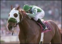 Haskin's March 19 Derby Report: Stars Shine as Clouds Lift Haskin's March 19 Derby Report: Stars Shine as Clouds Lift