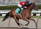 Seattle Smooth takes control in the Bed o' Roses.<br><a target="blank" href="http://www.bloodhorse.com/horse-racing/photo-store?ref=http%3A%2F%2Fpictopia.com%2Fperl%2Fgal%3Fprovider_id%3D368%26ptp_photo_id%3D8018412%26ref%3Dstory">Order This Photo</a>