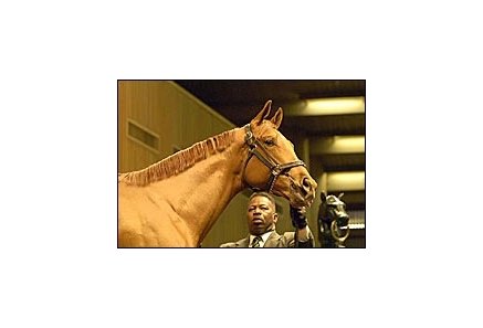 Maria's Mon colt brought top price at Keeneland's 2-year-olds in training sale.