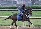 Rachel Alexandra