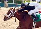 Railbird winner Ashley's Kitty is one of 14 fillies looking for a Grade I win in the La Brea.<br><a target="blank" href="http://www.bloodhorse.com/horse-racing/photo-store?ref=http%3A%2F%2Fpictopia.com%2Fperl%2Fgal%3Fprovider_id%3D368%26ptp_photo_id%3D1189559%26ref%3Dstory">Order This Photo</a>
