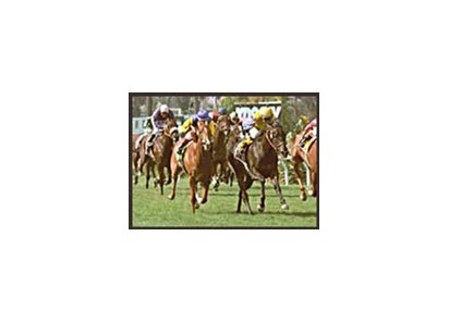 Megahertz (left) and Dublino (6), charge to the wire in the American Oaks. Megahertz was declared the winner after Dublino was disqualified and placed second for interference in the stretch.