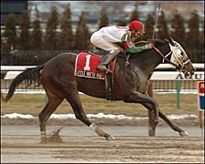 Little Matth Man Looks to End Year on Winning Note Little Matth Man Looks to End Year on Winning Note