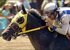 Surf Cat's last win before suffering foot problems came in last May's Mervyn LeRoy Handicap.