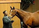 Hip 37, by retired leading sire Storm Cat, sold for $300,000 during the first session of the Keeneland January Sale.