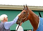 Baffert 'Hungrier' After Triple Crown Success Baffert 'Hungrier' After Triple Crown Success