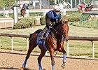 American Pharoah galloped 1 3/16 miles at Churchill Downs on May 22.
