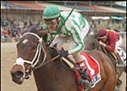 Demoiselle Under Roar Emotion's Control Demoiselle Under Roar Emotion's Control