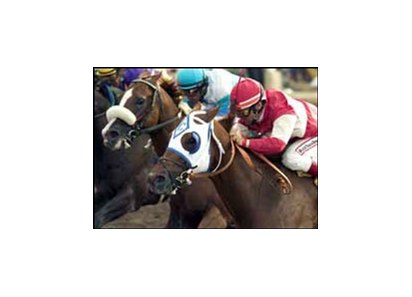 Pure as Gold (near) holds on to win a hotly-contested Crosby 'Cap, Sunday at Del Mar.