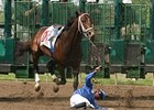 Garrett Gomez was unseated from his mount Jadal at the start of the seventh race on Monmouth Park's opening day card.