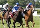 Red Birkin (2) defeated Rutherienne (1) last time out in the Boiling Springs, but Red Birkin was DQ'd and placed 3rd. Their rematch comes in the Lake George.