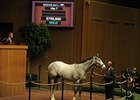 Hip#7 colt; Langfuhr - Coral Sea by Rubiano, sold for $700,000 at the opening session of the Keeneland April Sale of 2-year-olds in training.